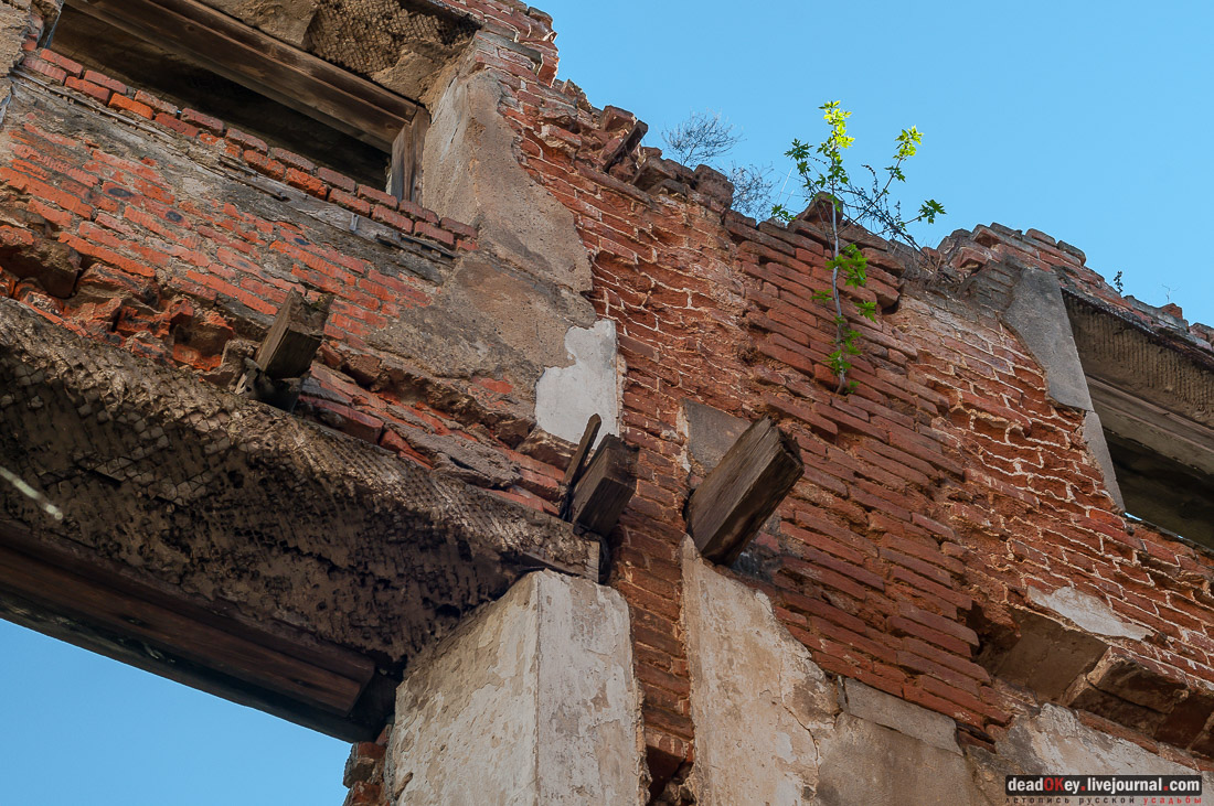 усадьба Зендиково