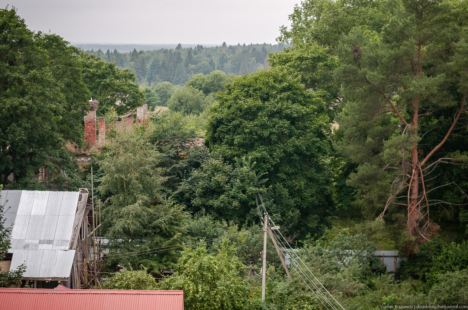 усадьба Красное Полторацких, Преображенская церковь Фельтена, Старицкий район, Тверская область