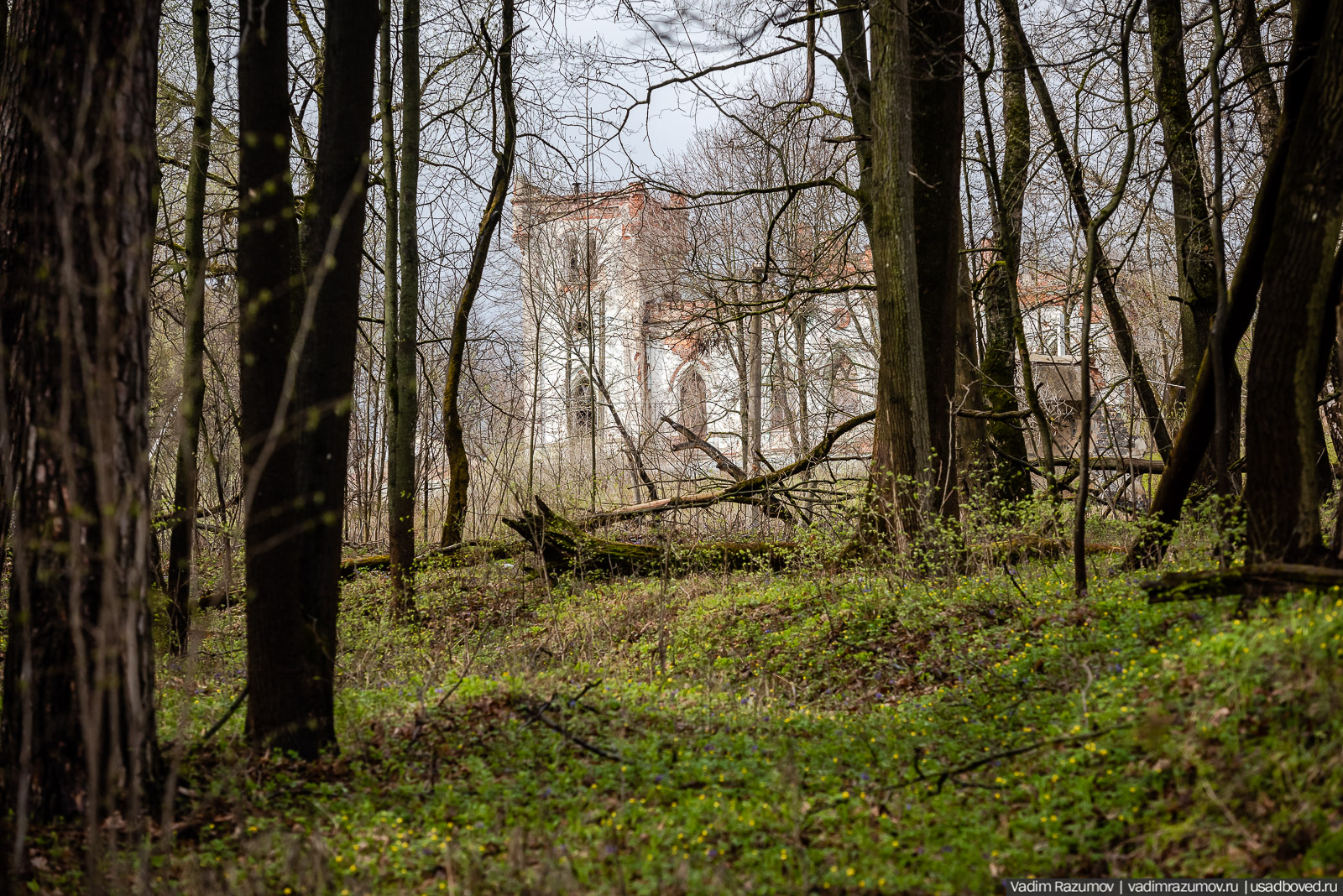 усадьба Колосово, волонтерский субботник 24 апреля 2021 года, Тульская область, НП Русская усадьба