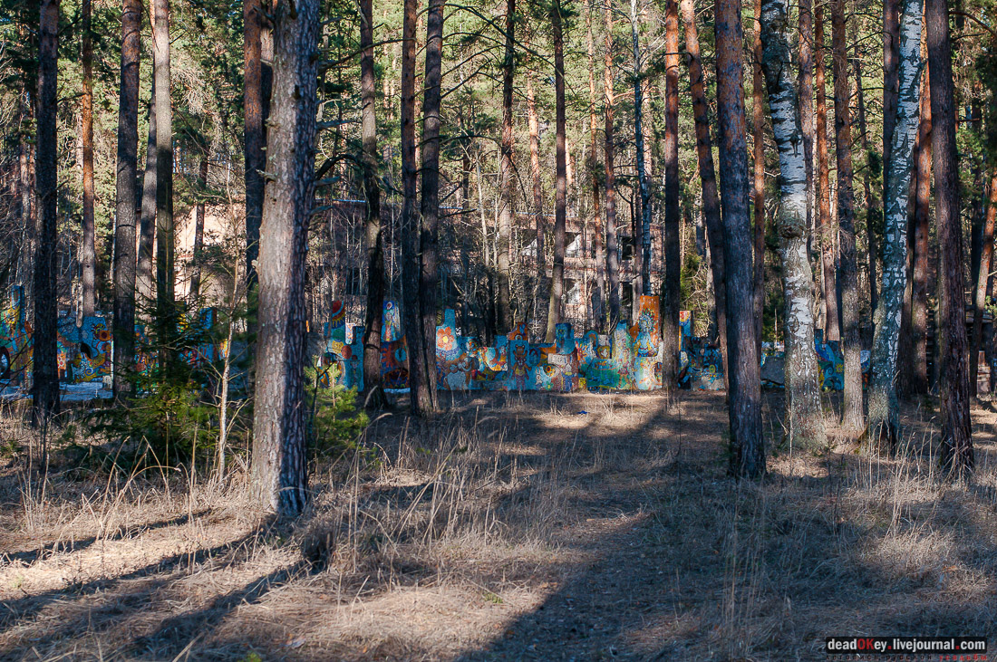 ПИОНЕРСКИЙ ЛАГЕРЬ ДРУЖБА ИМ. А.П. ГАЙДАРА