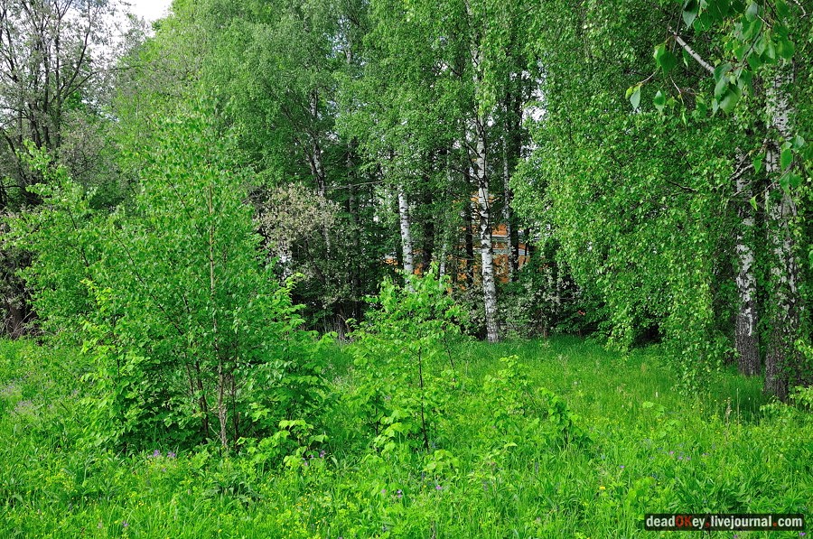 усадьба Спасское