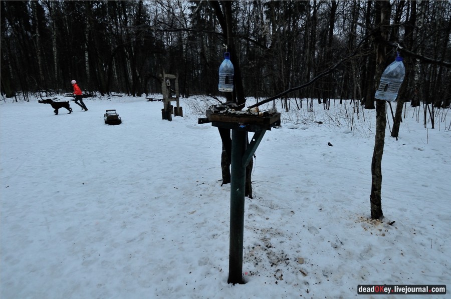 усадьба Пехра-Яковлевское