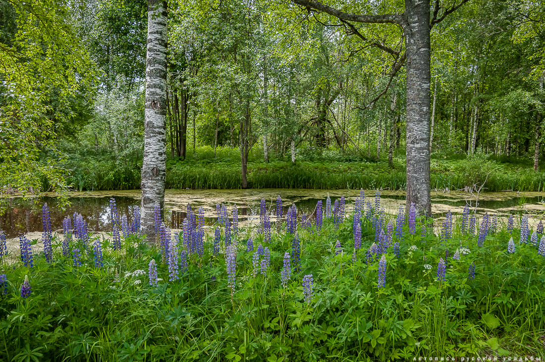 Талдом. Усадьба Клычкова
