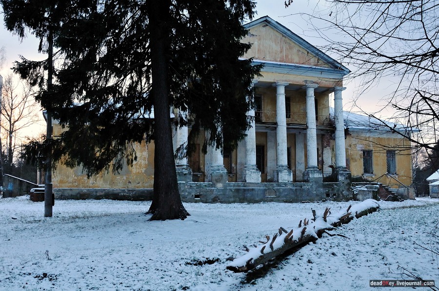 усадьба Медное-Власово