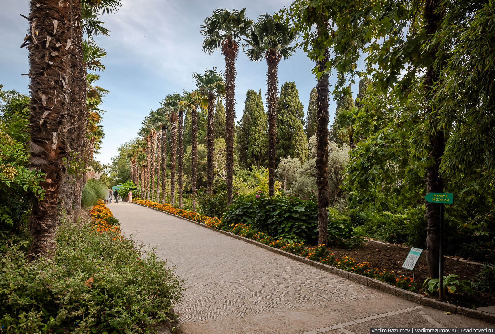 Никитский ботанический сад