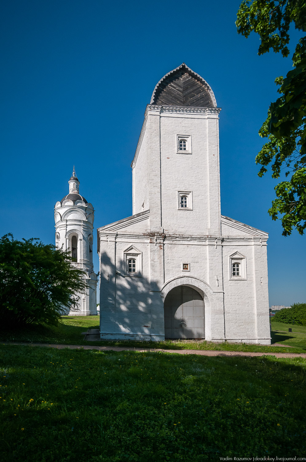 Коломенское в мае, цветы