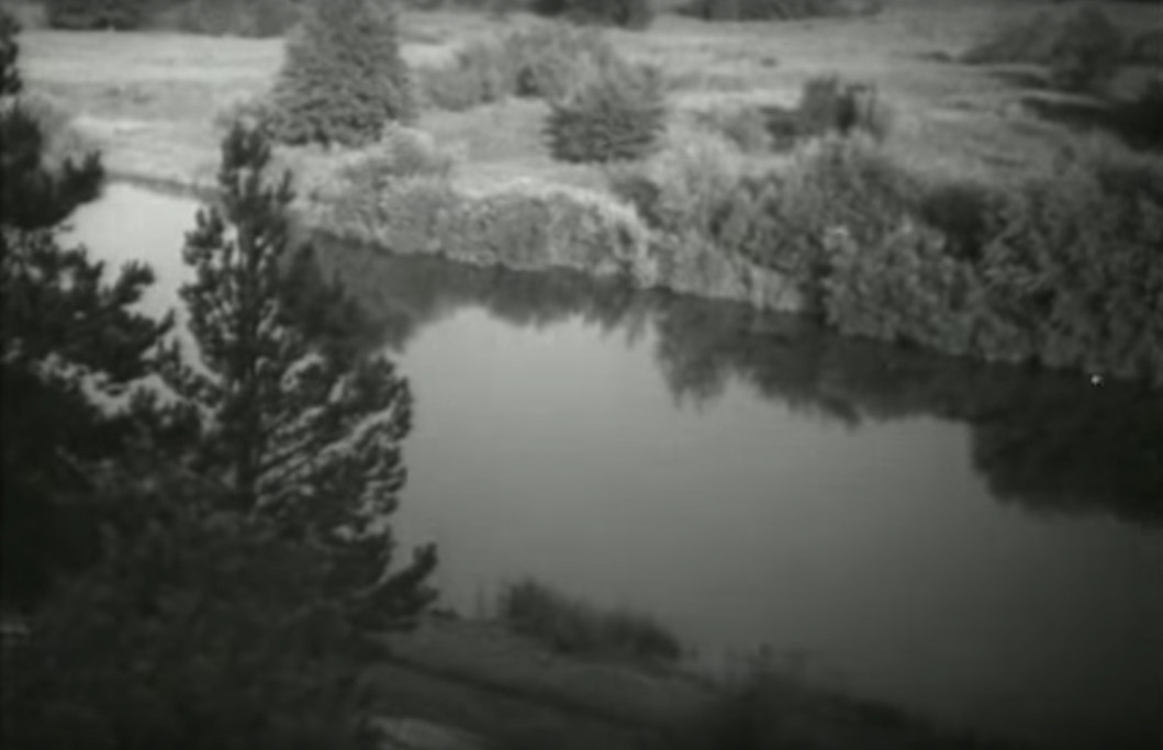 Таруса в кино. Верные друзья, На границе, Сельская учительница.