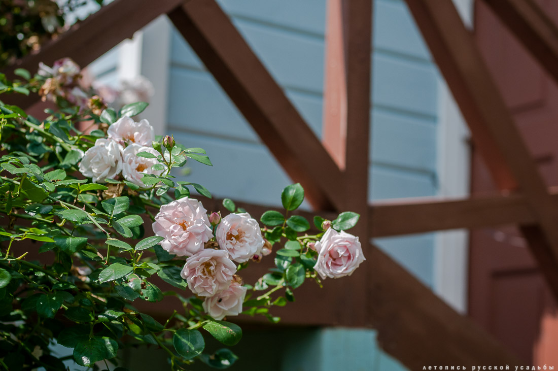 Усадьба Мелихово. Флигель, где была написана Чайка.