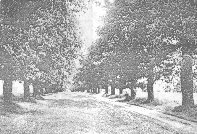 усадьба Авчурино