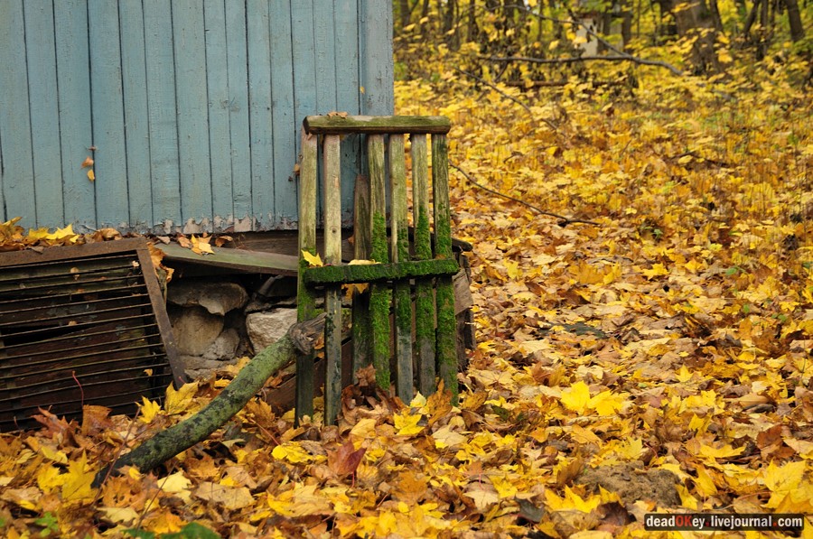 усадьба Жуково