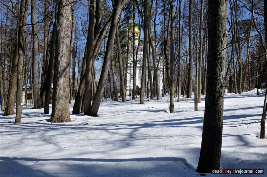 усадьба Узкое