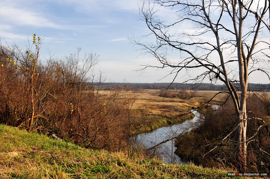 усадьба Бережки