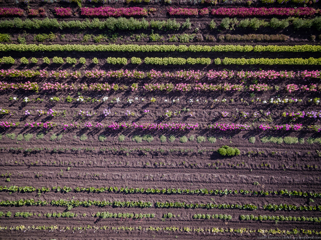 усадьба Барсуково