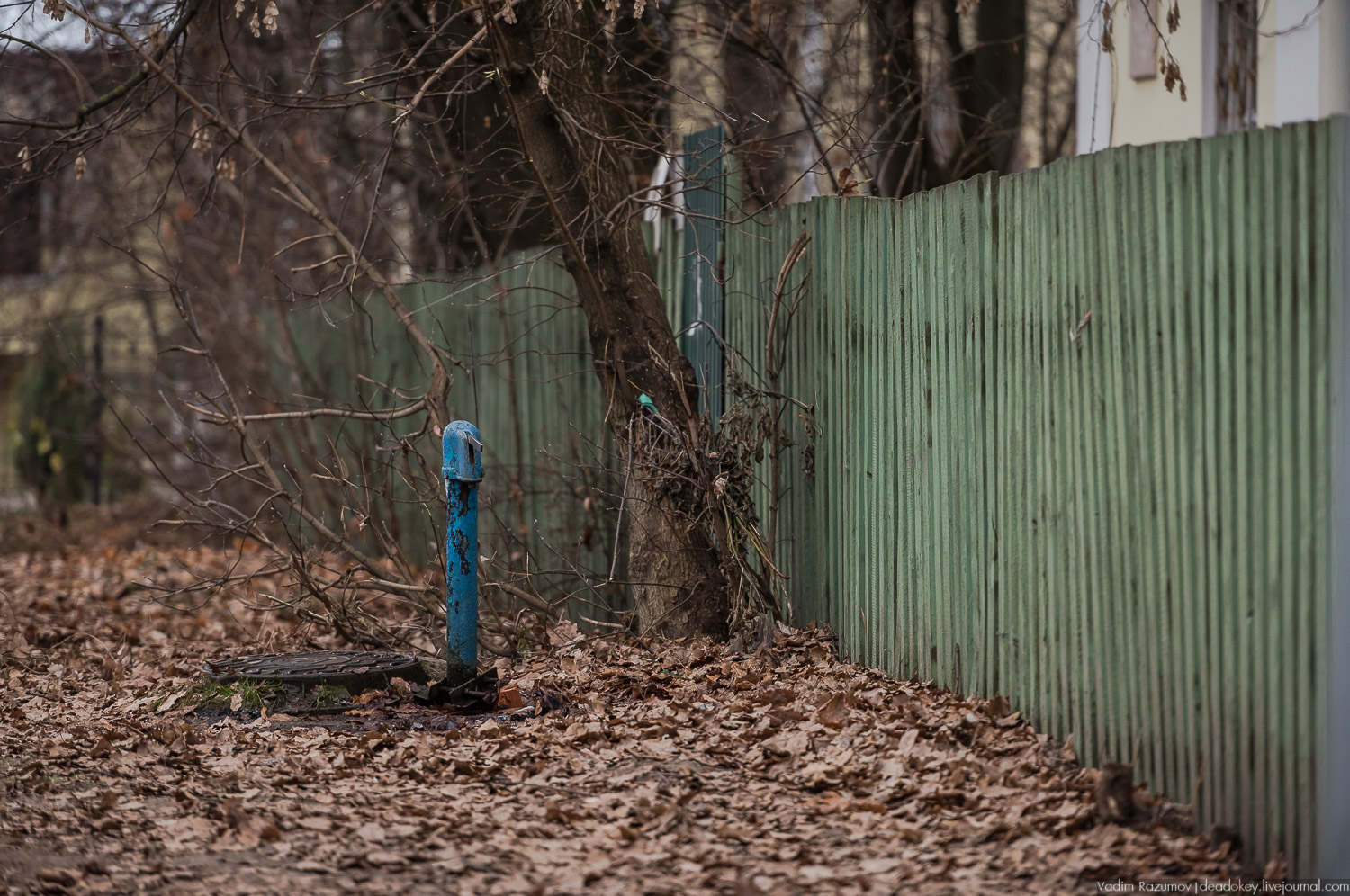 Сергиев Посад, волонтеры спасают дом на Валовой улице