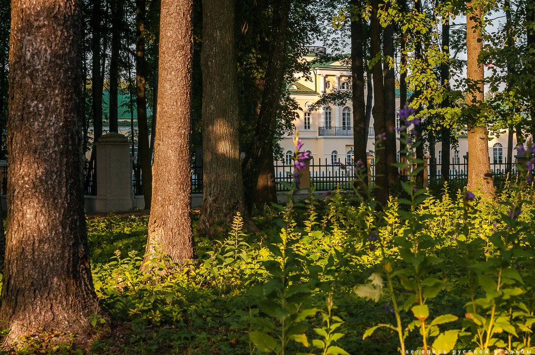усадьба Степановское-Волосово, фотографии с дрона, шетлендский пони Трамп