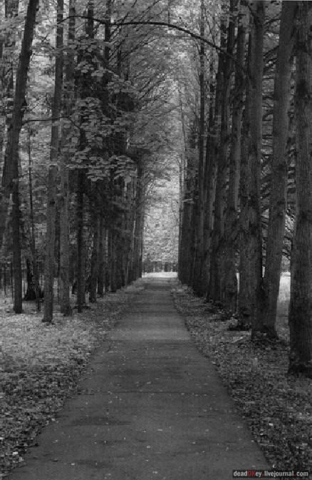 усадьба Котляково