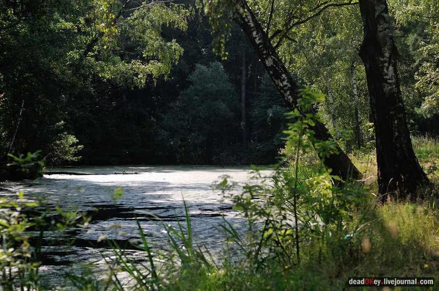 усадьба Пронино