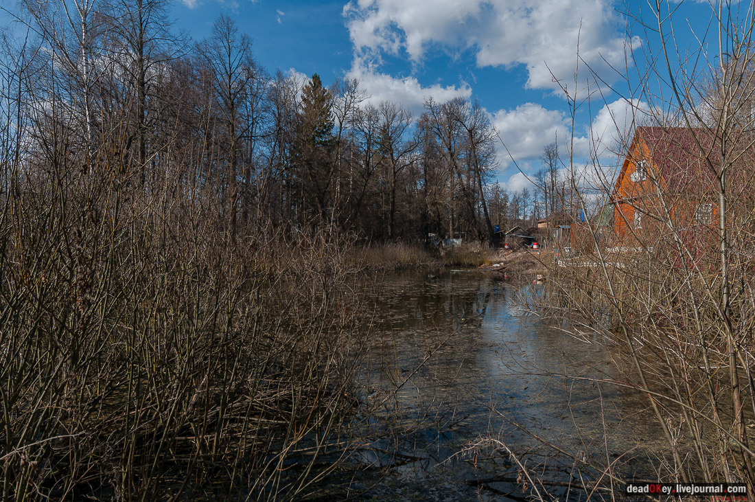 усадьба Дубна