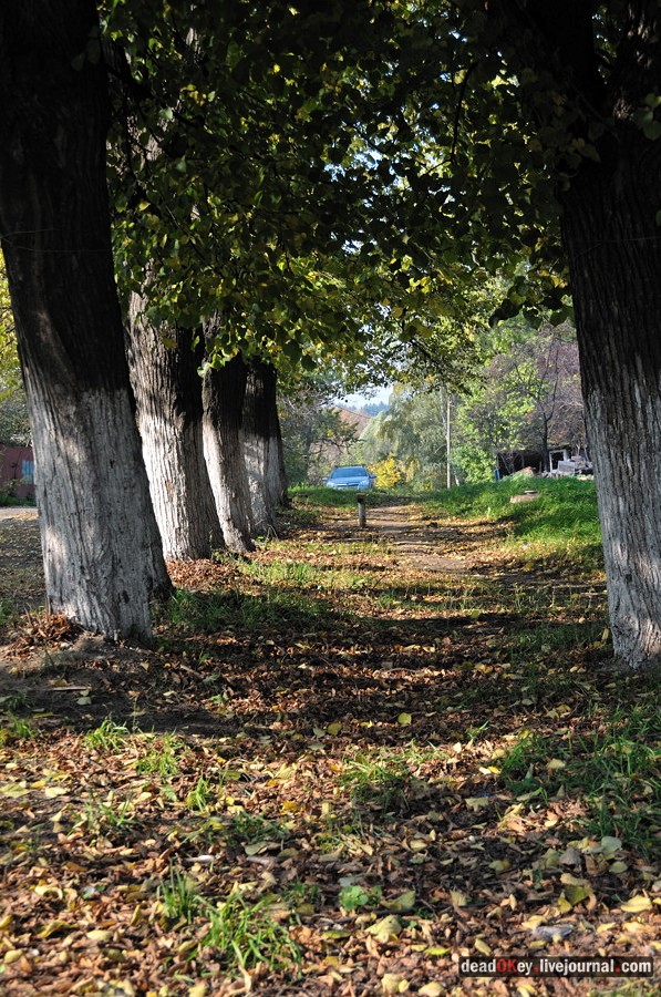 усадьба Красково