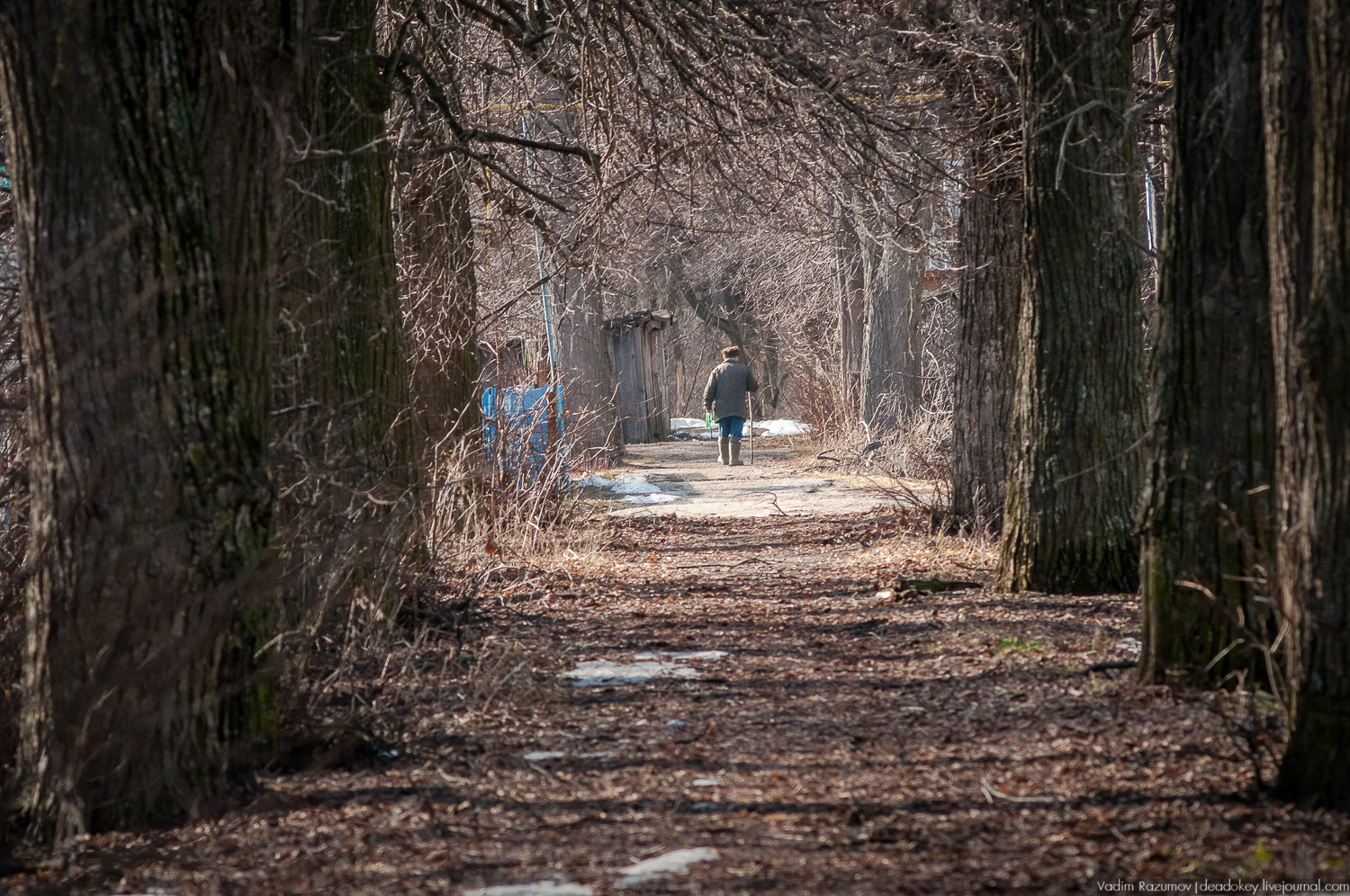 усадьба Соха