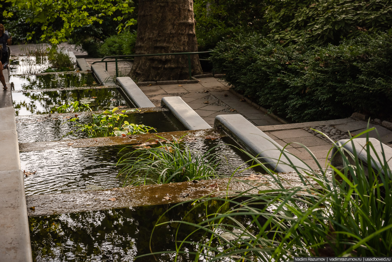 Никитский ботанический сад