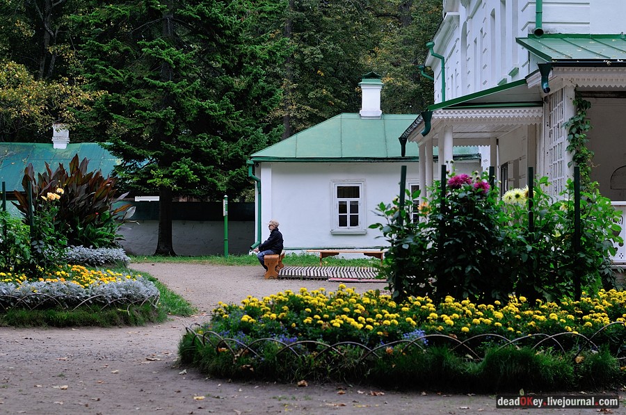 усадьба Ясная Поляна