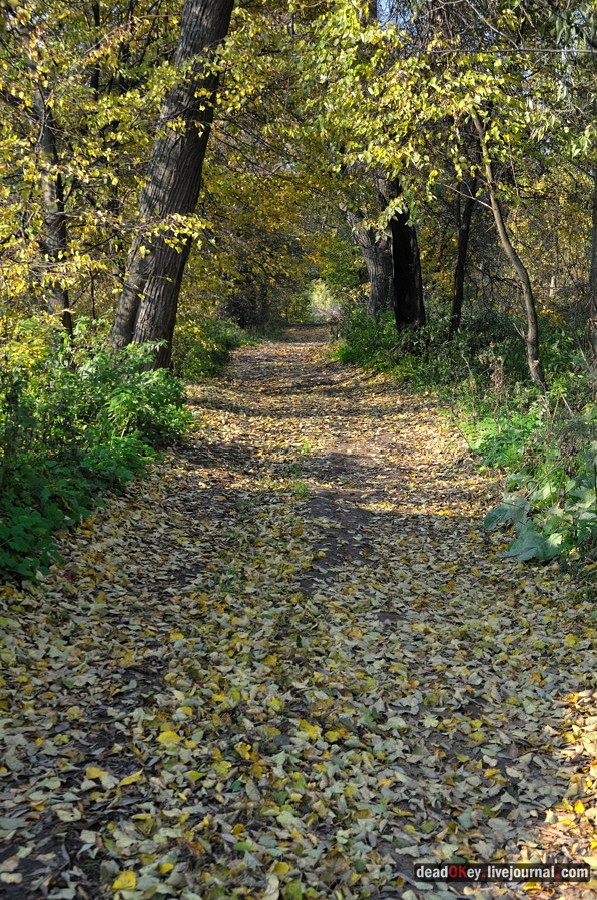 усадьба Красково