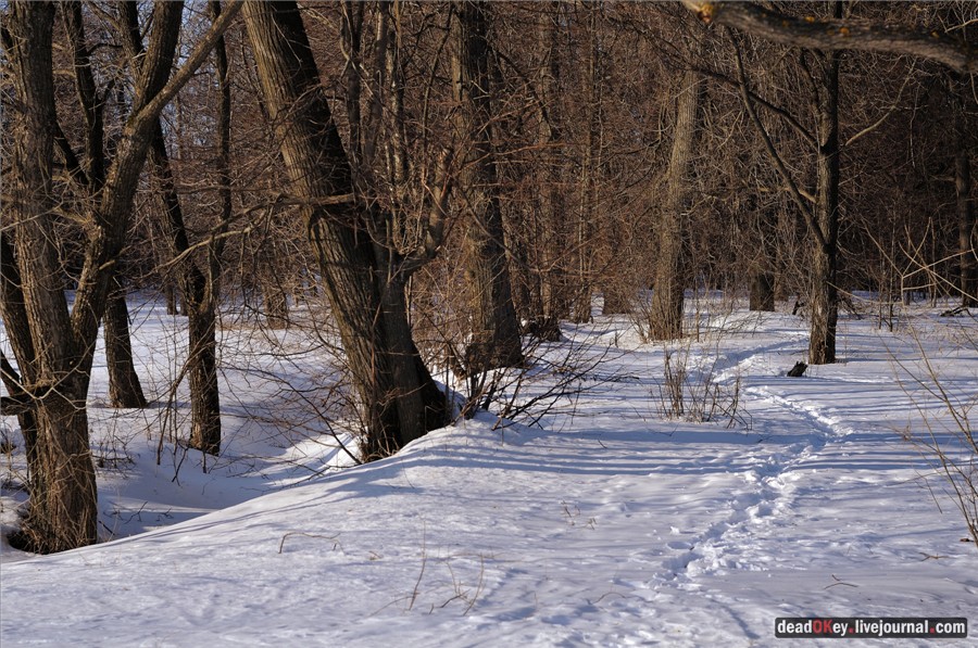усадьба Федино