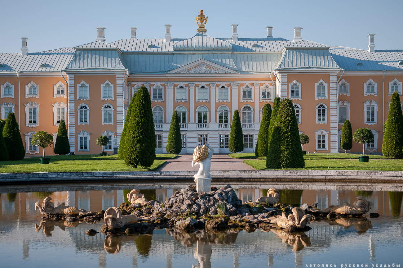 Положительные новости 19