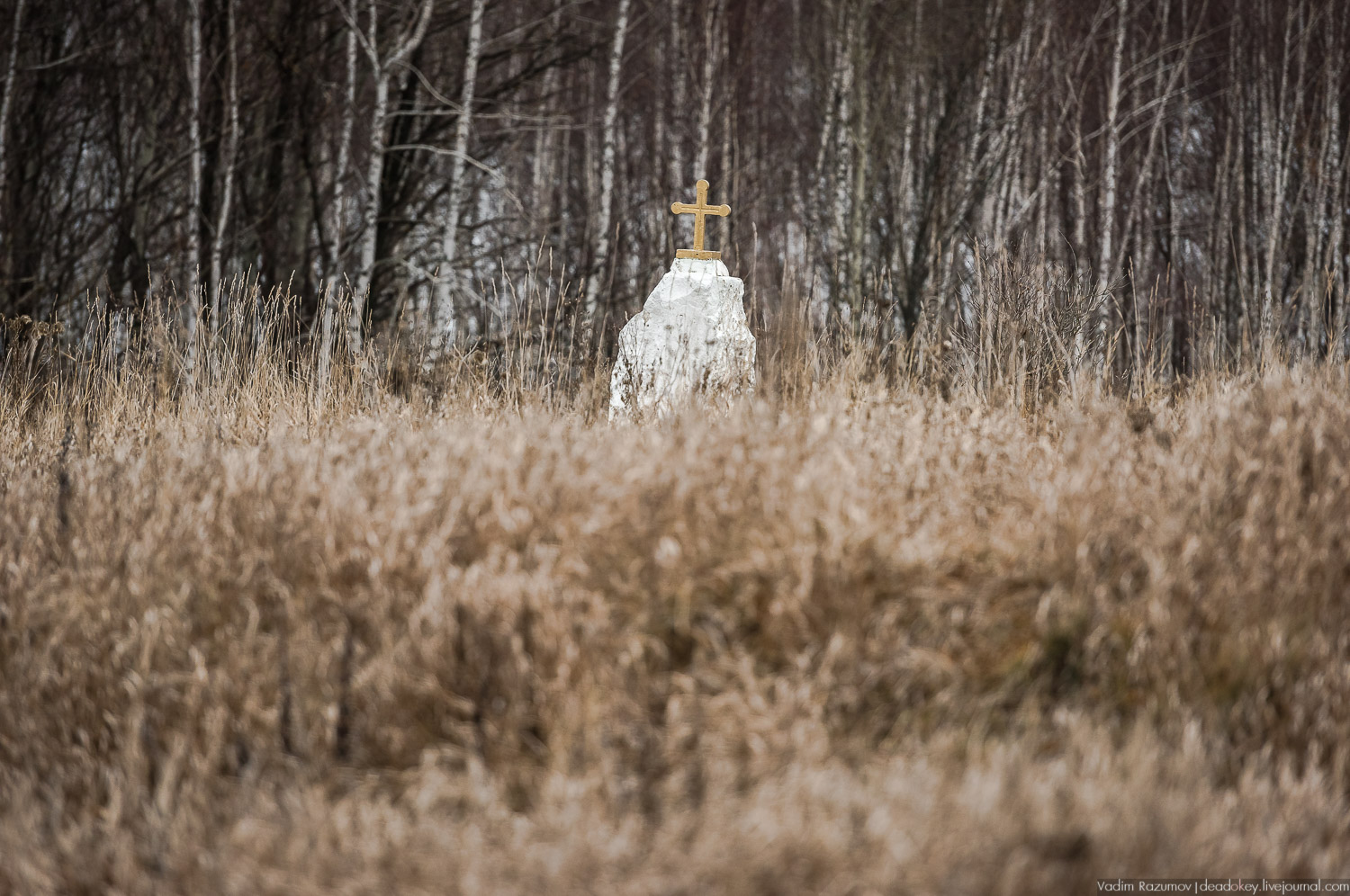 Старое Глазово, Тульская область, каширский уезд, могила архитектора В.И. Баженова