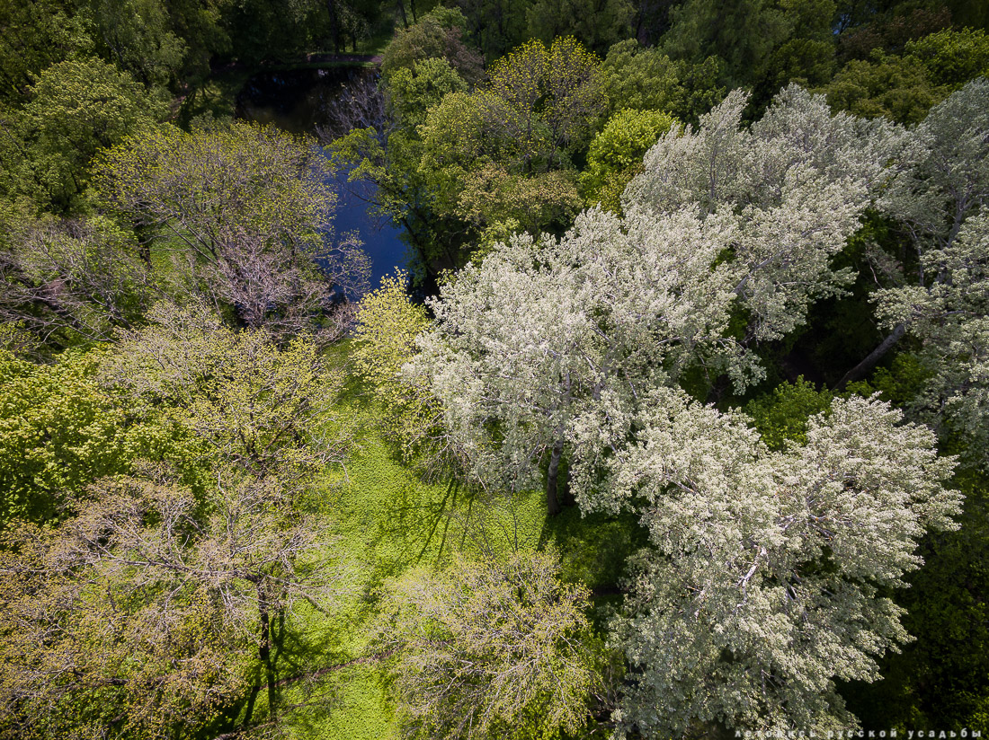 В гости с дроном к Л.Н. Толстому в усадьбу Ясная Поляна, Тульская область, Щекинский район, дер. Ясная Поляна