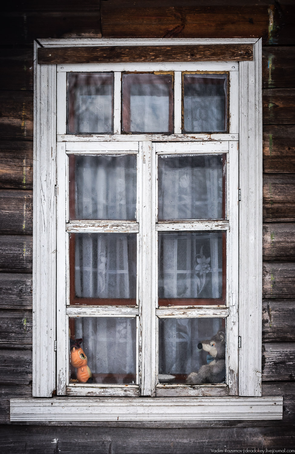 паровоз Бологое-Осташков