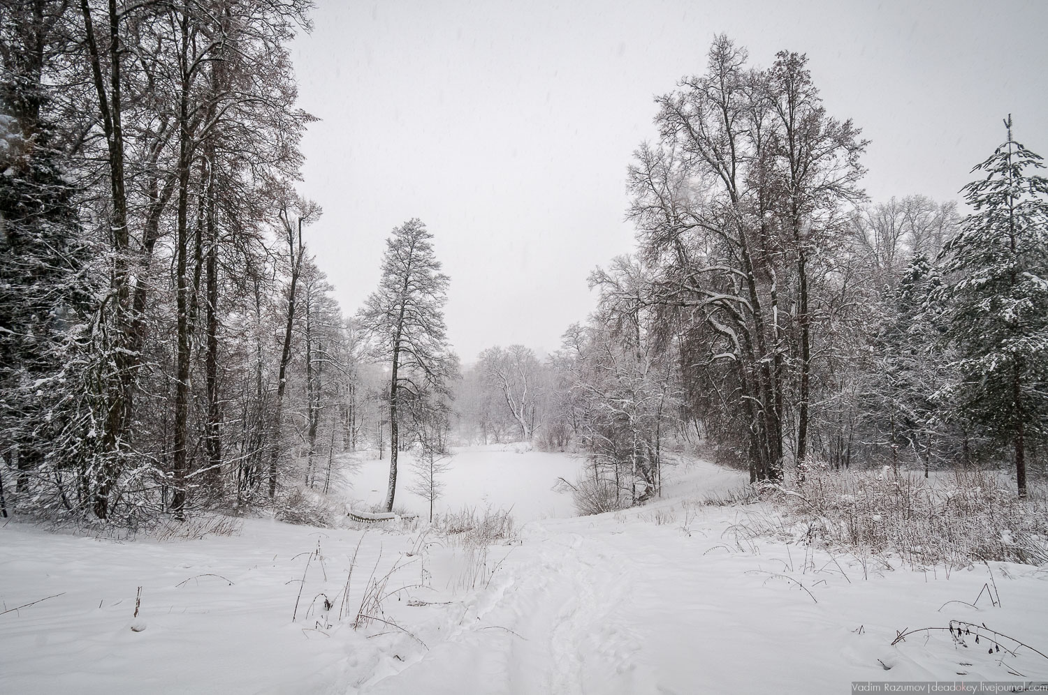 усадьба Горки Ленинские, 2018 год, Летопись русской усадьбы, Вадим Разумов