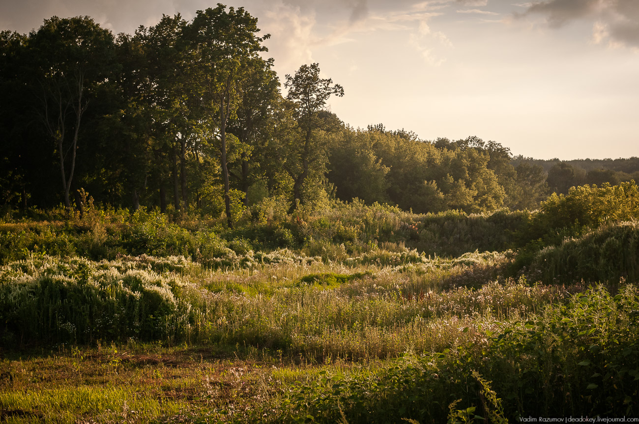 усадьба Колодезское