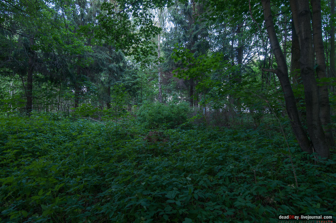 Усадьба Верзилово