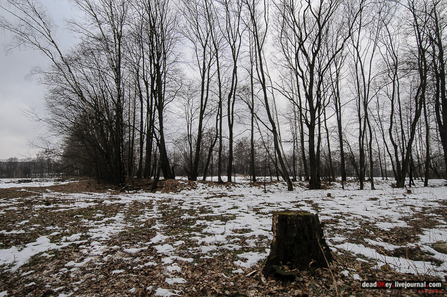 усадьба Рождественно (Рождественский погост)