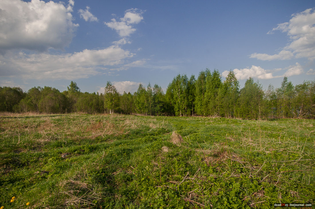 заброшенная деревня Сяпчозеро, Карелия, Кондопожский район