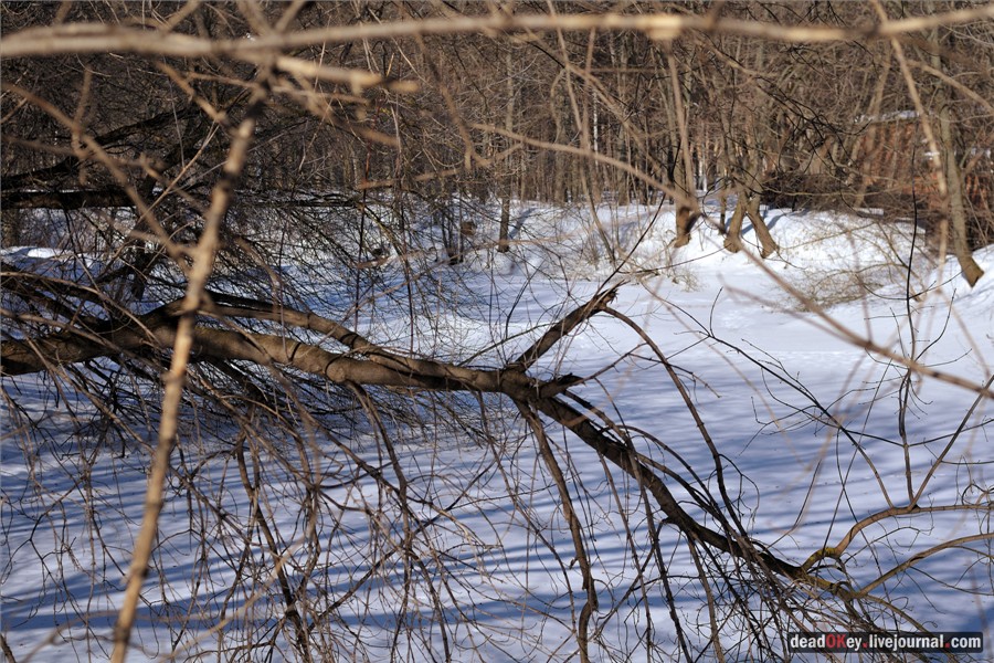 усадьба Кривякино