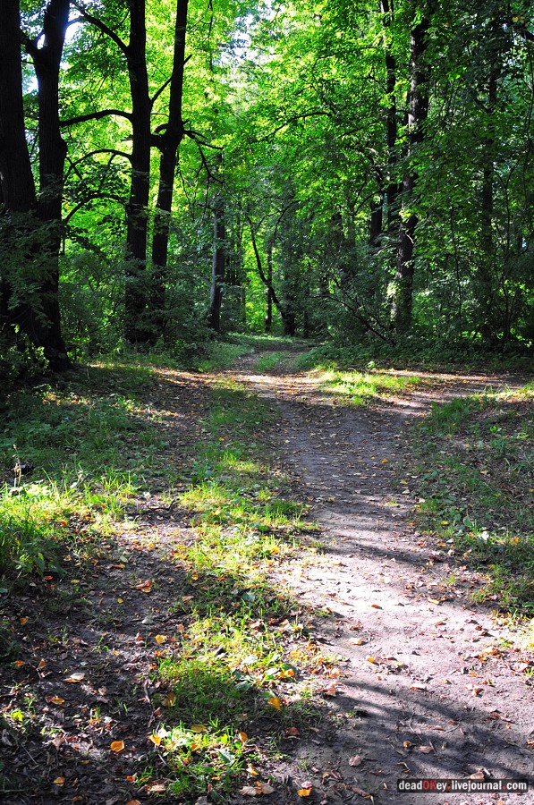 усадьба Смоленское