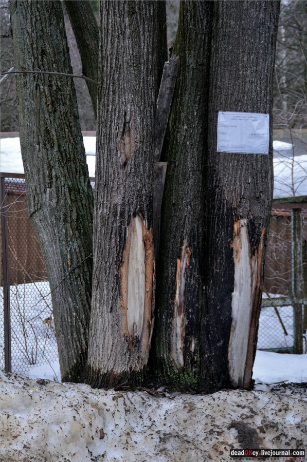 усадьба Воробьево