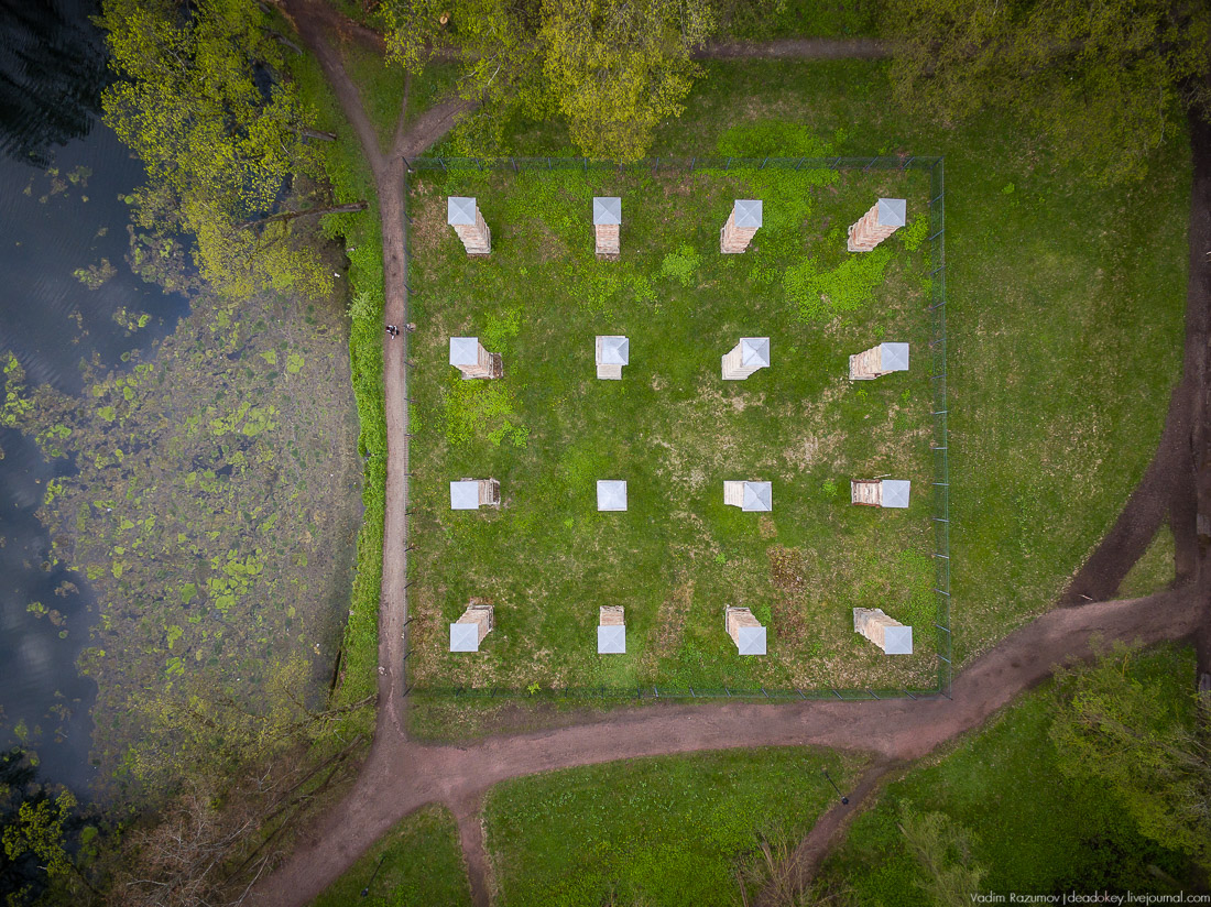 Гатчинский дворец, Гатчина, с дрона и квадрокоптера