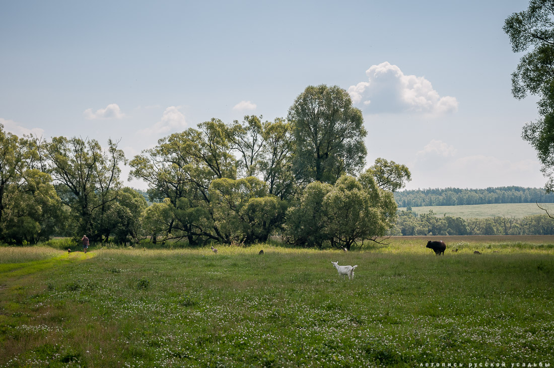 Сергиевское-на-Упе