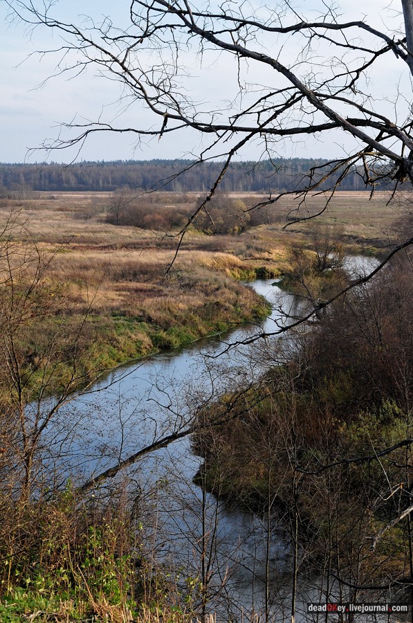 усадьба Бережки