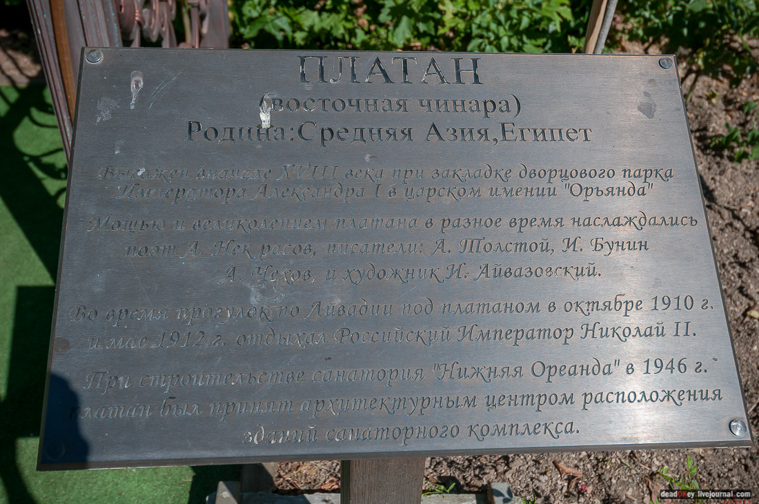 усадьба Ореанда (Нижняя Ореанда, Крым)