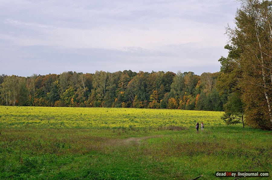 усадьба Ясная Поляна