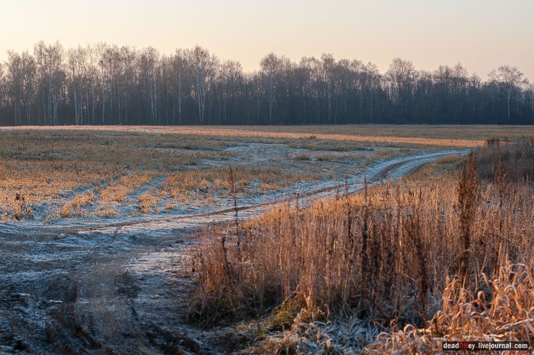 Усадьба Софрино