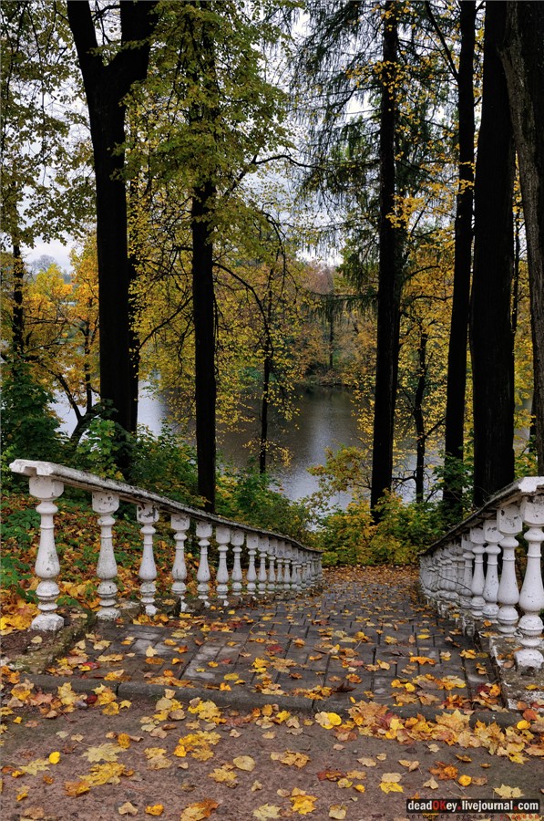 усадьба Марфино