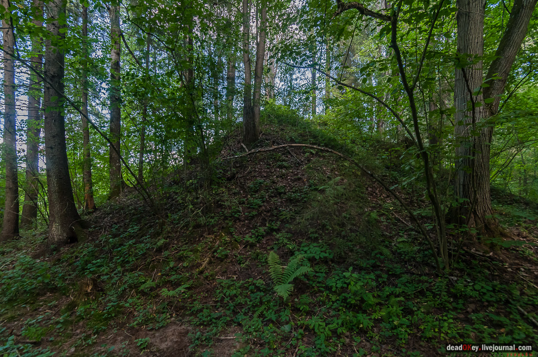 усадьба Васильевское Повалишиных