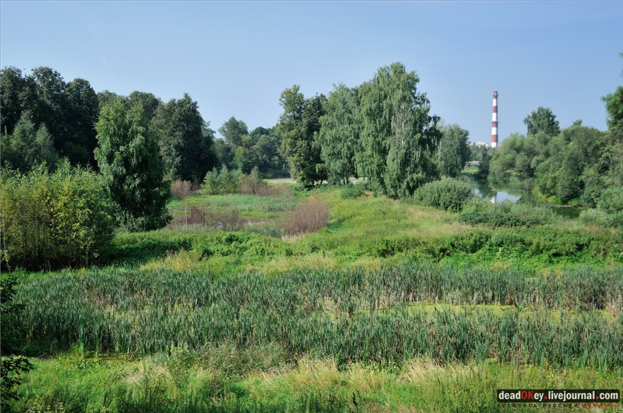 усадьба Городищи (