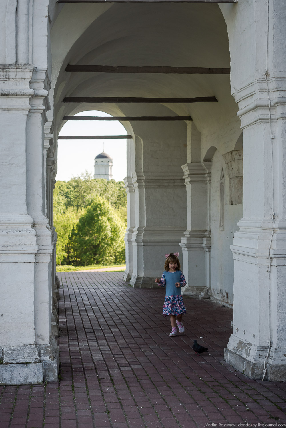 Коломенское в мае, цветы